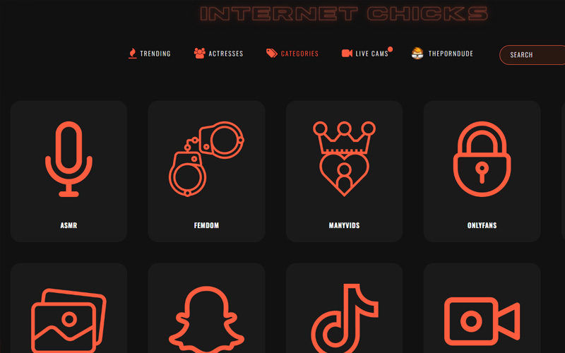 internet chicks